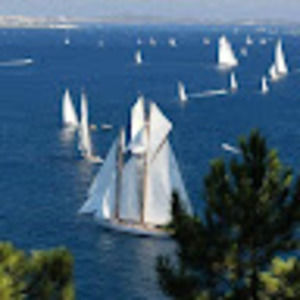 Meet your Posher, Delaney